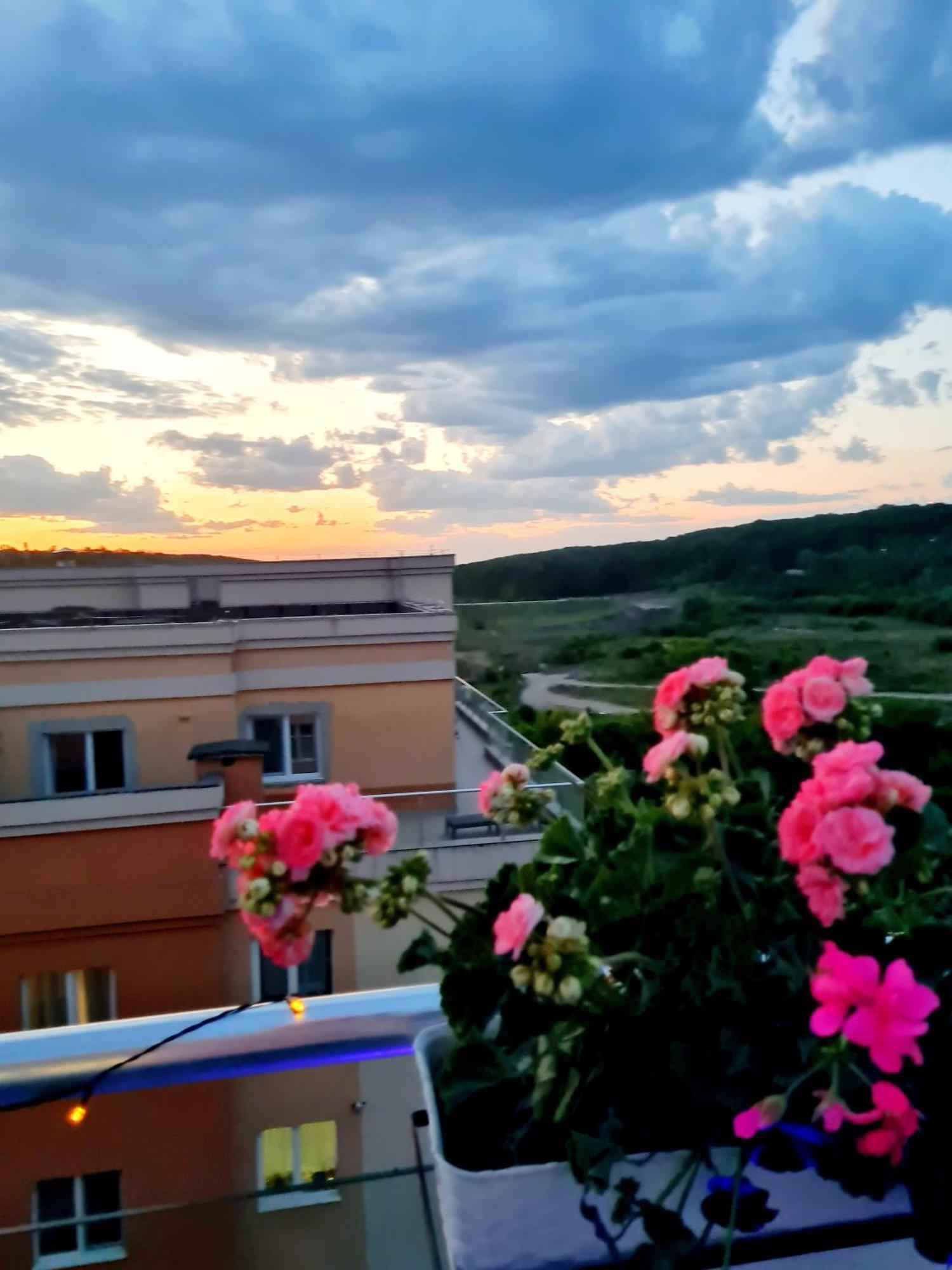 Penthouse View Aeroport Iasi 2 아파트 외부 사진