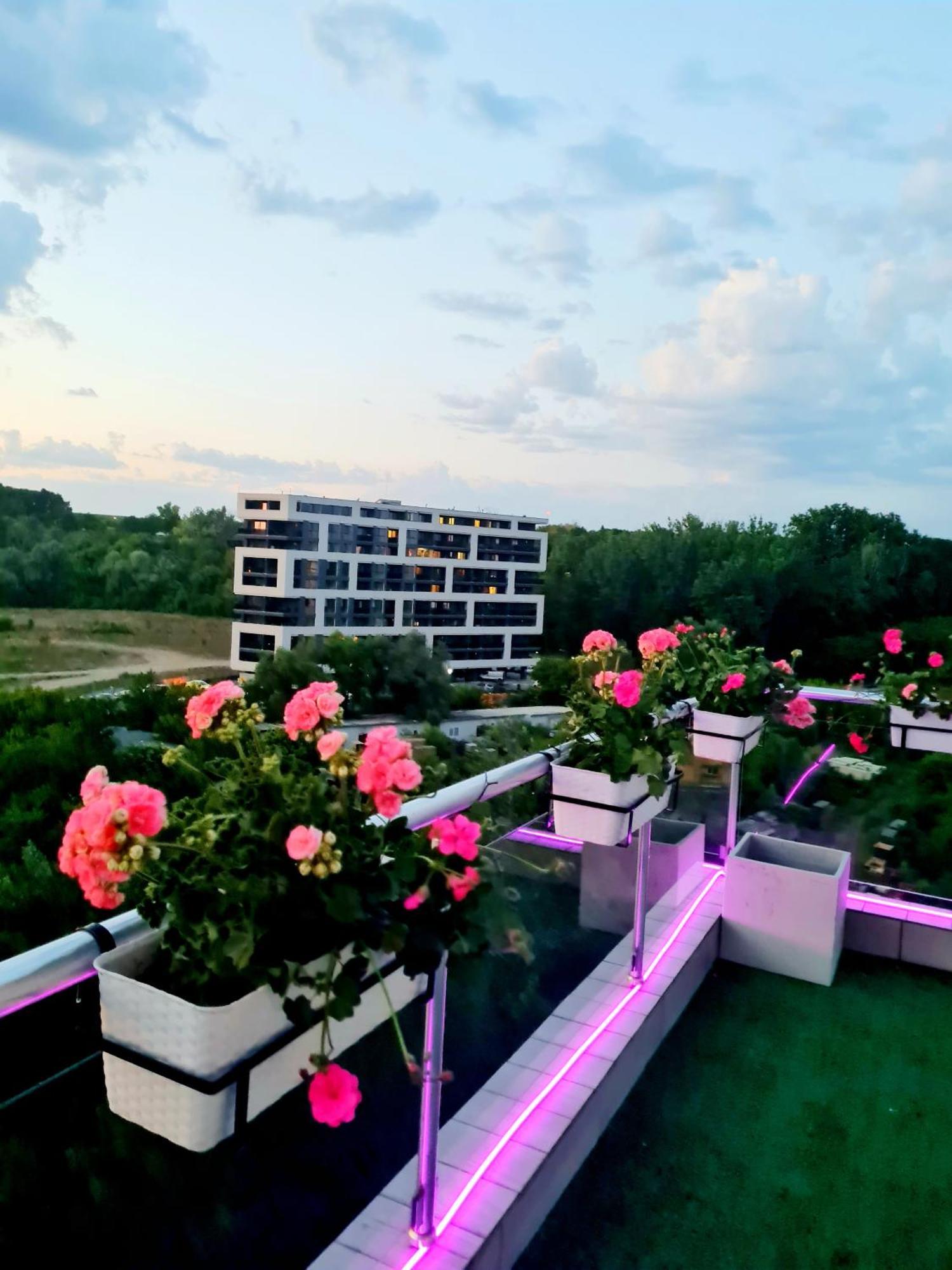 Penthouse View Aeroport Iasi 2 아파트 외부 사진