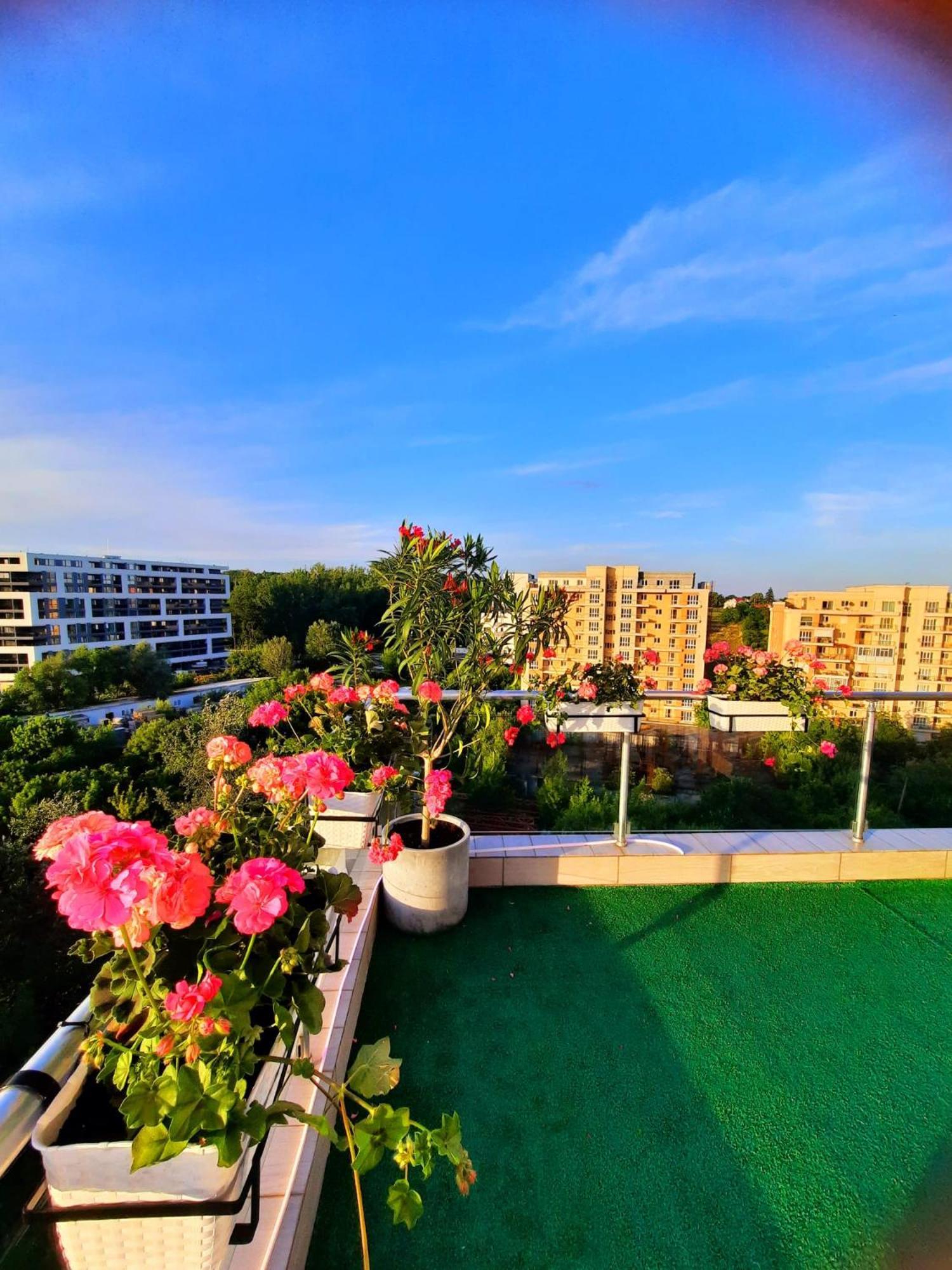 Penthouse View Aeroport Iasi 2 아파트 외부 사진